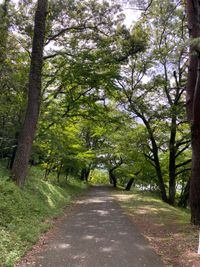 CAMPiii（キャンピー） SYO