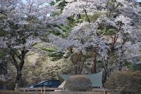 CAMPiii（キャンピー） ドラ