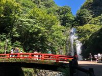 CAMPiii（キャンピー） ひろ
