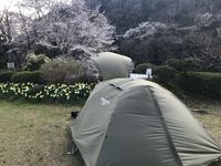 CAMPiii（キャンピー） ケンシロウ