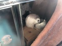 CAMPiii（キャンピー） だて
