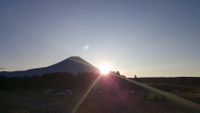 CAMPiii（キャンピー） 青海苔