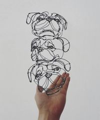CAMPiii（キャンピー） わいきち