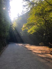 CAMPiii（キャンピー） しょーた