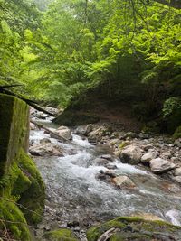 CAMPiii（キャンピー） kentan