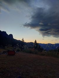 CAMPiii（キャンピー） ひろ16