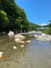 CAMPiii（キャンピー） yuyuyuy