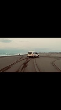 CAMPiii（キャンピー） 佑輝
