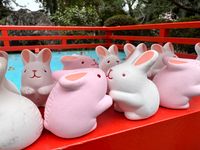 CAMPiii（キャンピー） いけちゃん