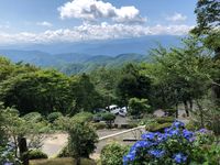CAMPiii（キャンピー） ゆーせー