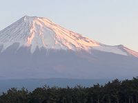 CAMPiii（キャンピー） チムニー