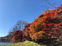 CAMPiii（キャンピー） キャンたけ
