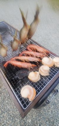 CAMPiii（キャンピー） ゆうき