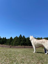 CAMPiii（キャンピー） ふるる