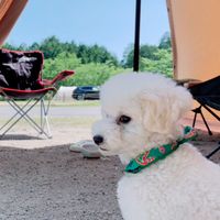 CAMPiii（キャンピー） あゆ