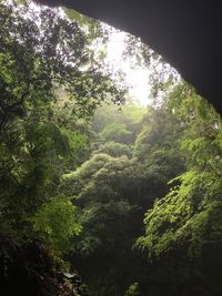 CAMPiii（キャンピー） むさし