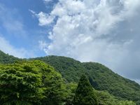 CAMPiii（キャンピー） MASA