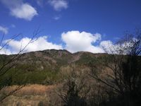 CAMPiii（キャンピー） 山おやじ