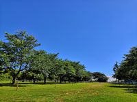 CAMPiii（キャンピー） 奈っパ