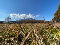 CAMPiii（キャンピー） 🏕🏕明日はキャンプ🏕🏕