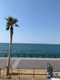 CAMPiii（キャンピー） カツオ
