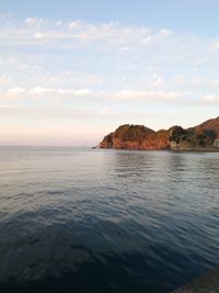 CAMPiii（キャンピー） ころ