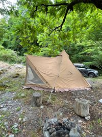 CAMPiii（キャンピー） いかとうちゃん