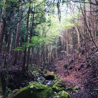 CAMPiii（キャンピー） sued