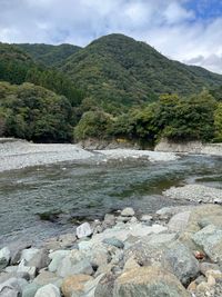 CAMPiii（キャンピー） くしこ