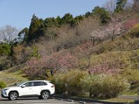 CAMPiii（キャンピー） くまいち