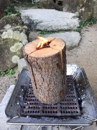 CAMPiii（キャンピー） きりん組のふうか