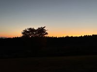 CAMPiii（キャンピー） gabba