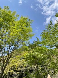 CAMPiii（キャンピー） あさ