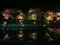 CAMPiii（キャンピー） インドアキャンパー