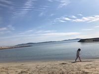 CAMPiii（キャンピー） たまお