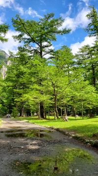 CAMPiii（キャンピー） 三浦　隆哉