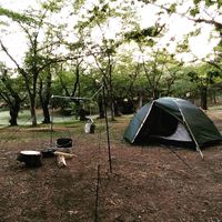 CAMPiii（キャンピー） しんご（きのこ）
