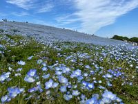 CAMPiii（キャンピー） れいみ