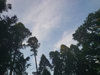 CAMPiii（キャンピー） Tomo
