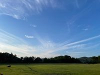 CAMPiii（キャンピー） ちょけ