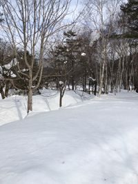 CAMPiii（キャンピー） しろメシ