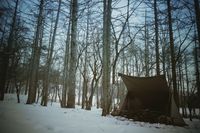 CAMPiii（キャンピー） koicamp