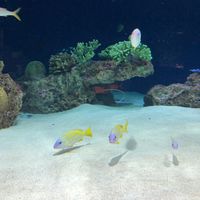 CAMPiii（キャンピー） 17さん