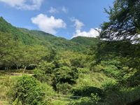 CAMPiii（キャンピー） あや