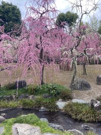 CAMPiii（キャンピー） ユッキー