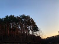 CAMPiii（キャンピー） 和哉