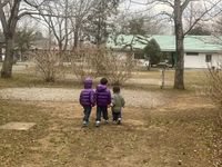 CAMPiii（キャンピー） たいふーん