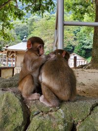 CAMPiii（キャンピー） うっき