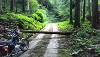 CAMPiii（キャンピー） フラソス製