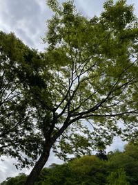 CAMPiii（キャンピー） 大久保　一成